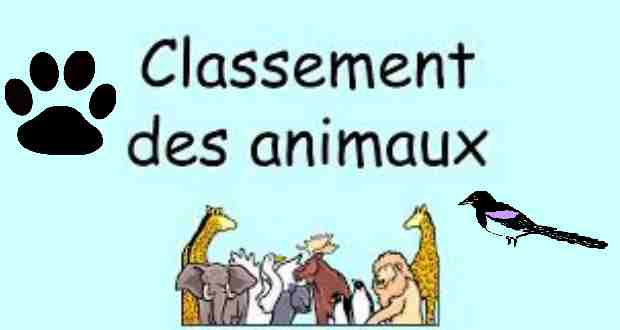 Classement des animaux Classement des animaux