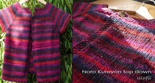 Noro Kureyon top down