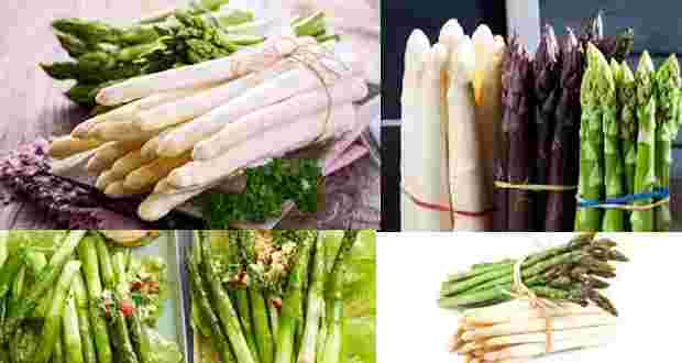 Culture asperge blanche ou verte