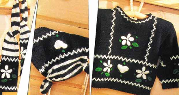 Le pull à fleurs Le pull à fleurs