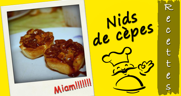 nids de cèpes