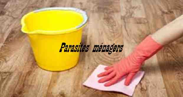les parasites ménagers