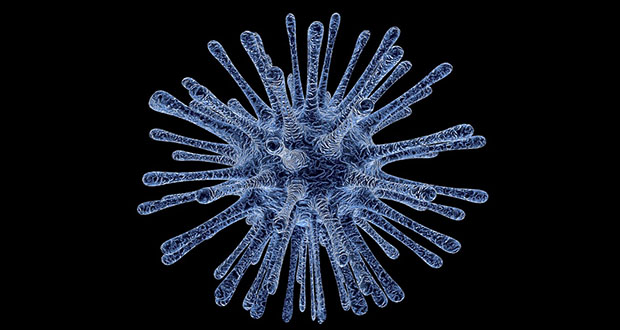 Les virus des micro-organismes